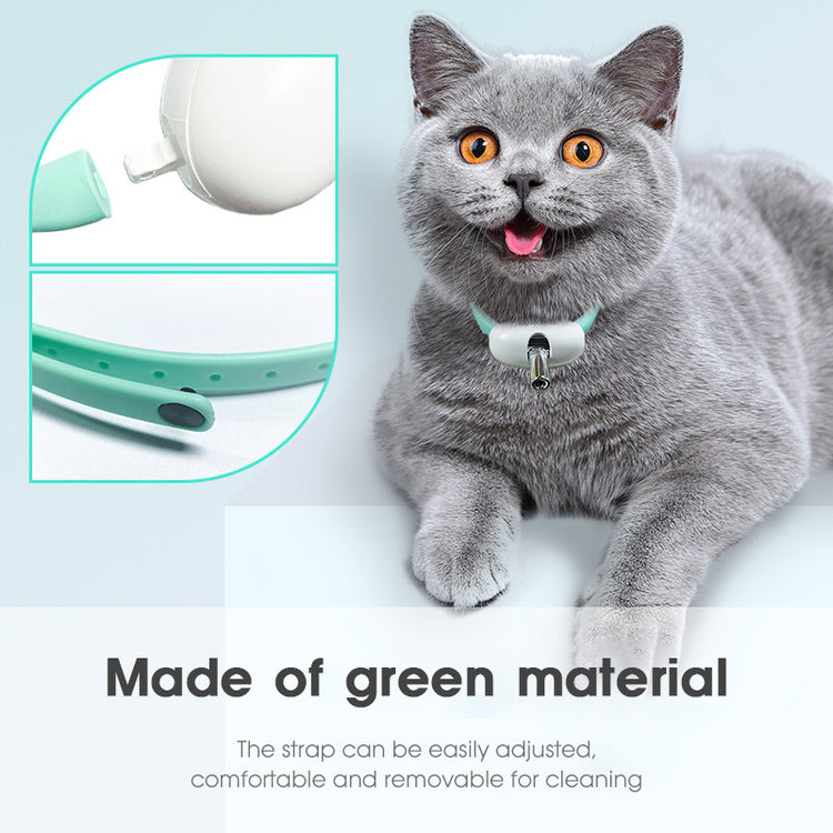 Cute gray cat wearing an automatic cat toy with laser strap made of green material for comfort and adjustability.