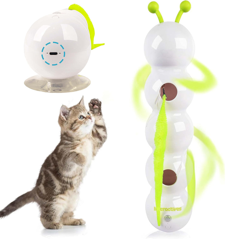 Cute kitten playing with an automatic interactive cat toy designed for entertainment and exercise.