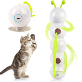Cute kitten playing with an automatic interactive cat toy designed for entertainment and exercise.