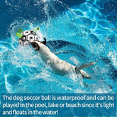 Dog playing with an interactive dog soccer ball in a pool, showcasing its waterproof and floating features.
