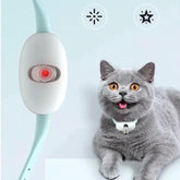 automatic cat toy with laser features and a happy gray cat wearing it