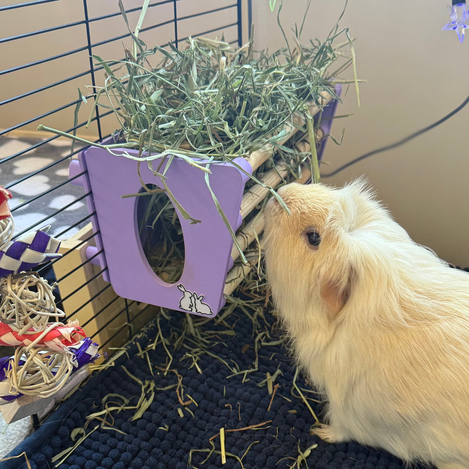 cage mounted hay rack in pastel pink with guinea pig eating hay, perfect for keeping hay tidy