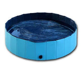 Foldable dog swimming pool with blue exterior and water inside, ideal for pets to play and cool off.