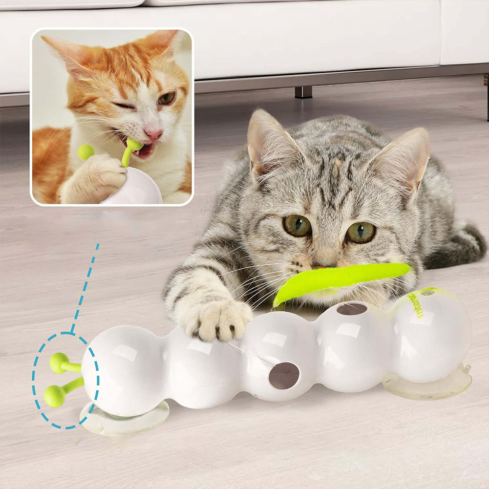 Cat playing with automatic interactive cat toy, engaging and entertaining with hunting instincts.