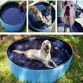 Dogs enjoying a foldable dog swimming pool, featuring a happy dog swimming and playing in the water.