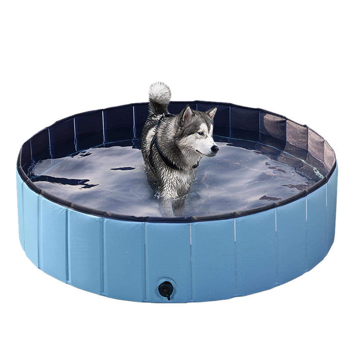 A dog enjoying a bath in a foldable dog swimming pool, showcasing its durable design and comfortable water features.