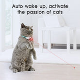 Cat playing with automatic cat toy with laser, engaging and active indoors.