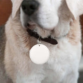GPS Tracker For Dogs Cat Pet Child - Smart Safe Devices attached to a dog collar for safety and tracking.