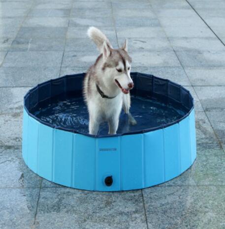 A husky enjoying its time in a foldable dog swimming pool on a sunny day.