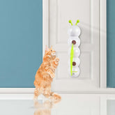 cat playing with an automatic interactive cat toy on the wall, promoting exercise and engagement for felines