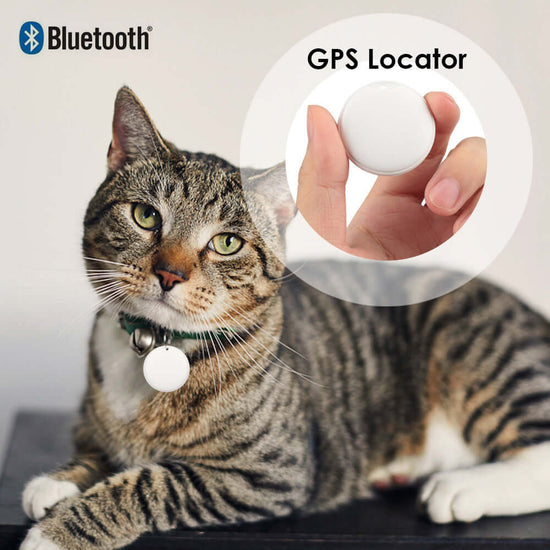 GPS Tracker For Dogs Cat Pet Child - Smart Safe Devices with Bluetooth GPS Locator on a cat&