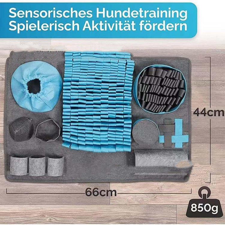 Dog sniffing training pad with various sensory toys and textures for effective scent training.