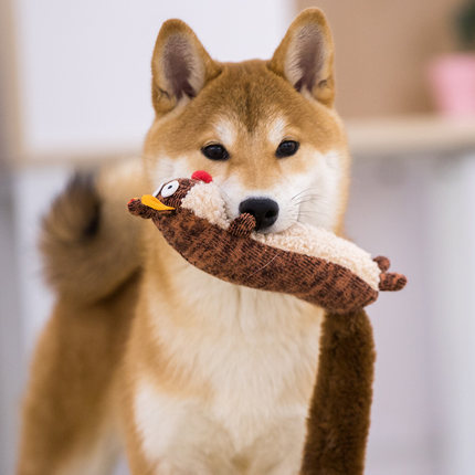 Cozy plush sound toys: Shiba Inu holding a plush toy, perfect for snuggling and playtime.