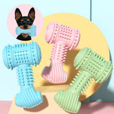 Indestructible dog chew toy in three colors: blue, pink, and green, featuring textured grips for dental health.