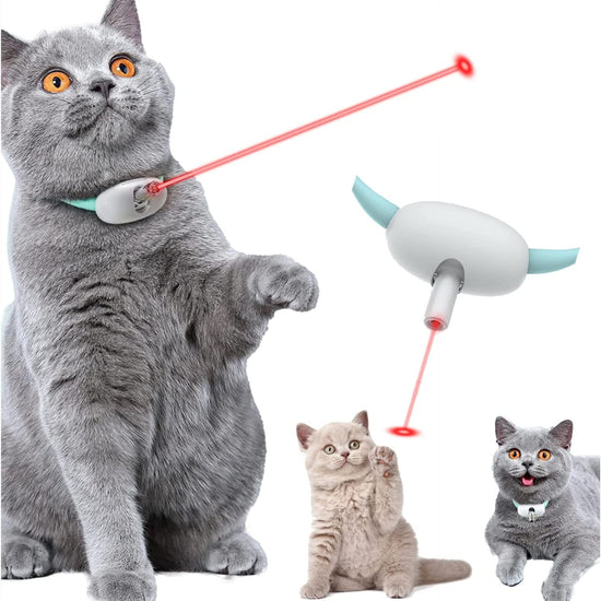 Gray cat playing with automatic cat toy with laser, enjoying interactive play and exercise.