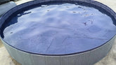 foldable dog swimming pool filled with water, designed for pet bathing and play.