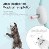 Automatic cat toy with laser engaging a playful cat with laser projection.