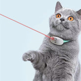 Gray cat playing with an automatic cat toy with laser, engaging in healthy activity.