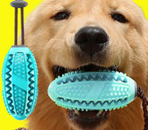 Dog chewing on an interactive dog toy for dental care designed to promote oral hygiene and fresh breath.